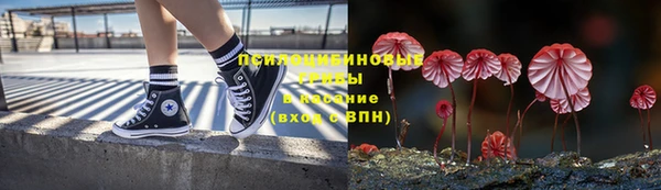 mix Рославль