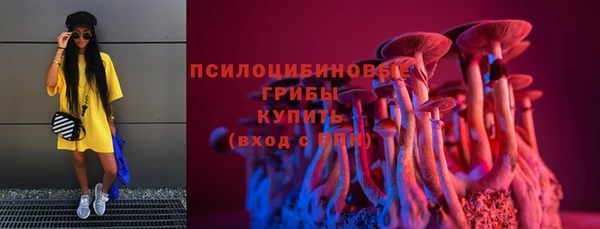 МДПВ Киреевск
