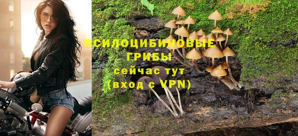 гидра Кулебаки