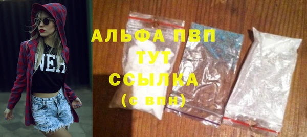 сатива Абинск