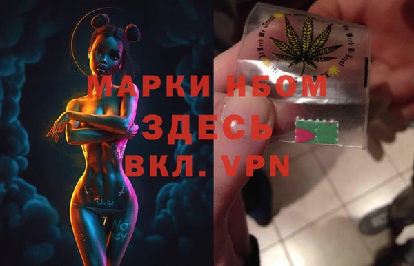 сатива Абинск